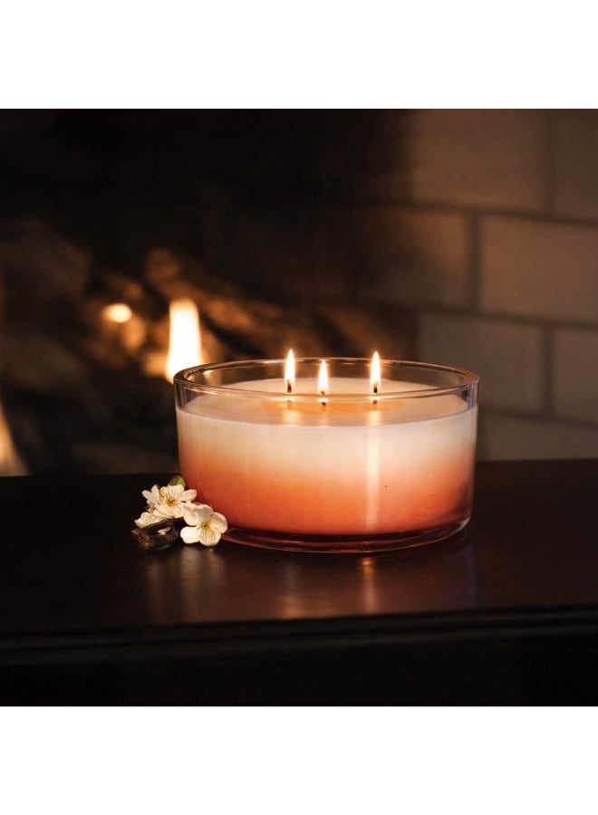 IRIS CELESTE شمعة جرة موهاجاني والمسك 425 جرام - شمعة معطرة 3 فتائل 15 أونصة | 50 ساعة وقت احتراق | مثالية للهدايا، ديكور المنزل، الحفلات وعطر الغرف | مثالية لديكور غرفة المعيشة والمكتب - Image 1